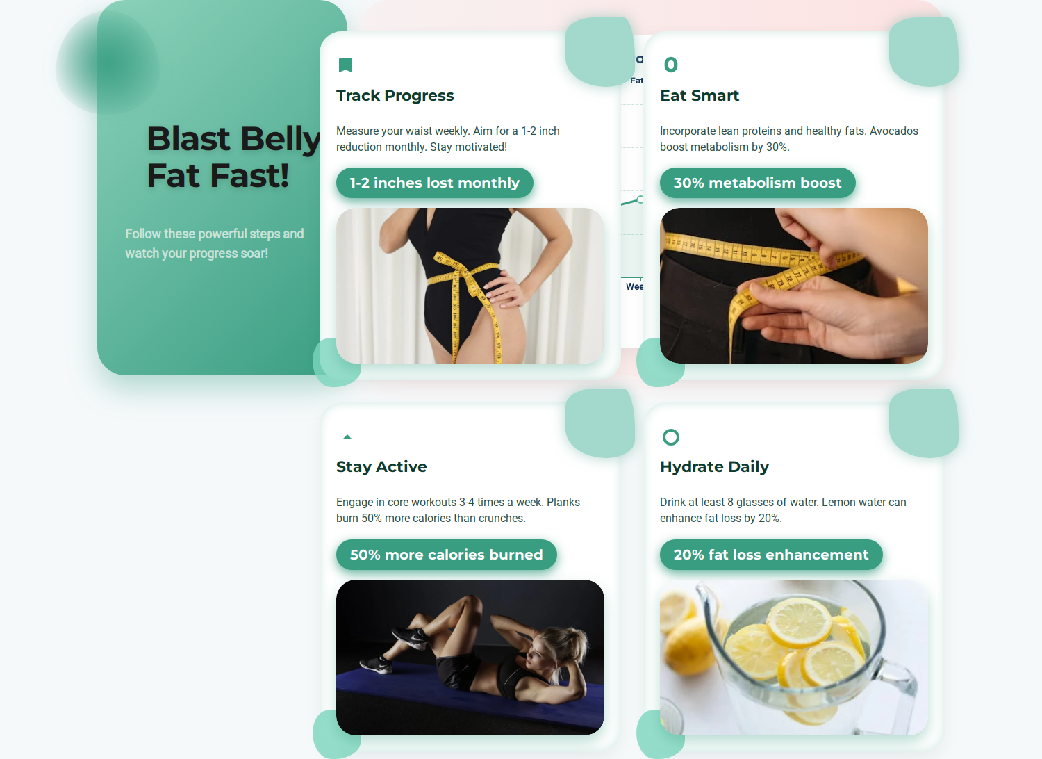 Showcase image 2